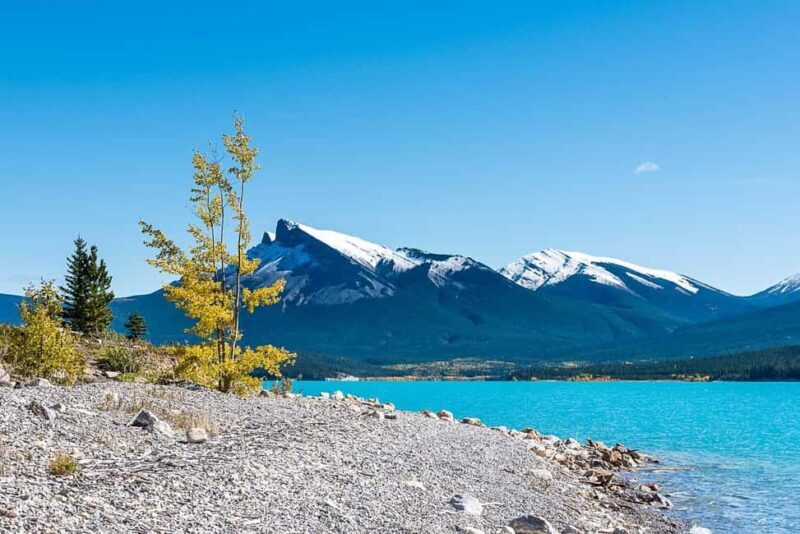 Calgary: Day Trip to Jasper with Lunch - Exploring the Itinerary: What You Can Expect