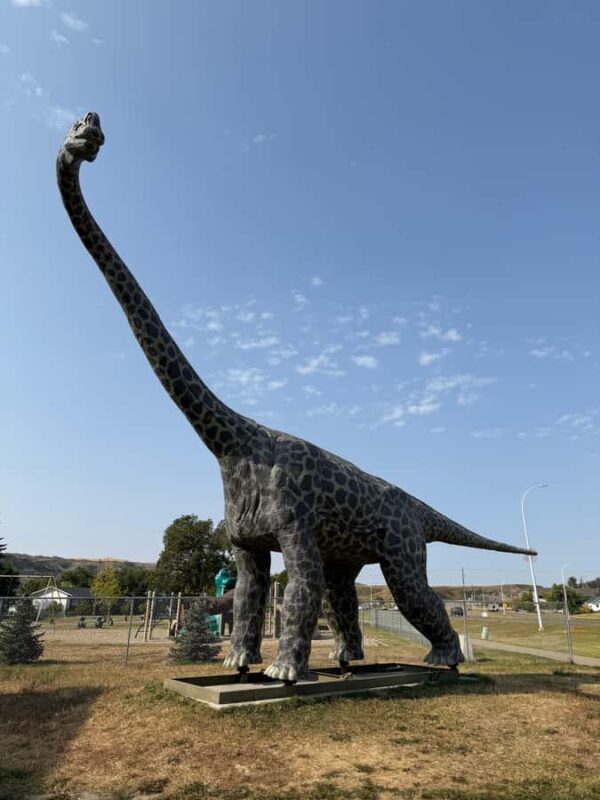 Calgary: Drumheller and Badlands Tour with Museum Entry - Who Should Consider This Tour?
