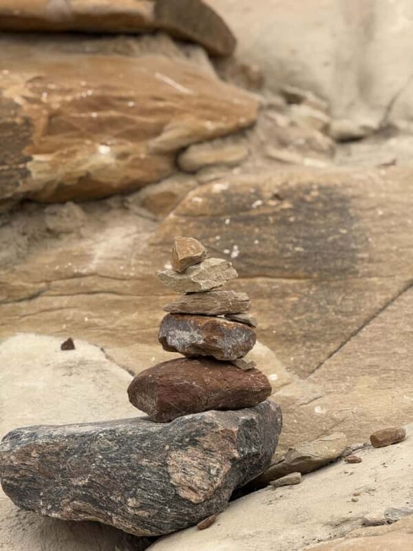 Calgary: Drumheller and Badlands Tour with Museum Entry - Final Thoughts