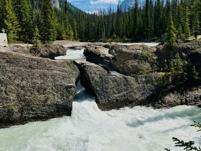 Calgary: Lake Louise, Emerald, Marble Canyon, and Yoho Tour - Who Will Benefit Most from This Trip?