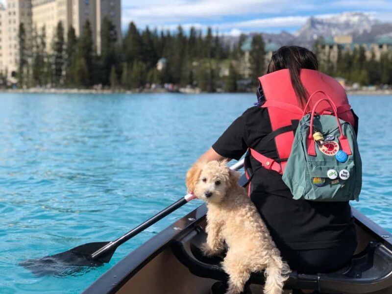 Calgary Shuttle: Lake Louise, Banff & Johnston Canyon Tour - An Honest Look at the Experience