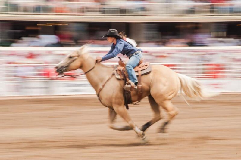 Calgary Stampede Afternoon Rodeo - Key Points