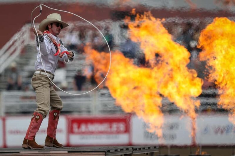 Calgary Stampede Afternoon Rodeo - The Experience Itself: What to Expect