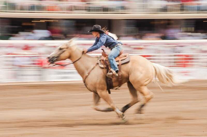 Calgary Stampede Afternoon Rodeo - The Logistical Side: Tickets, Access, and Practical Tips