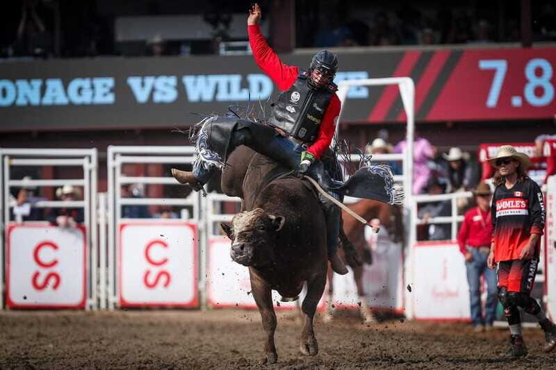 Calgary Stampede Afternoon Rodeo - Authenticity and Atmosphere