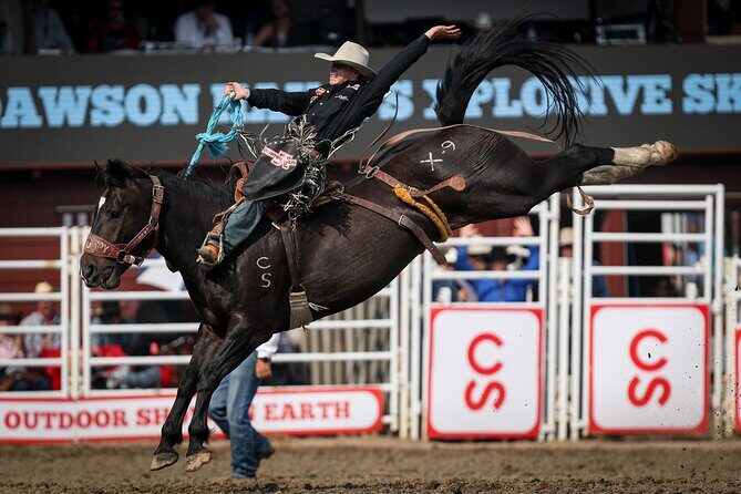 Calgary Stampede Afternoon Rodeo - Key Points