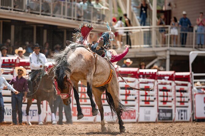 Calgary Stampede Afternoon Rodeo - Who Should Consider This Experience?