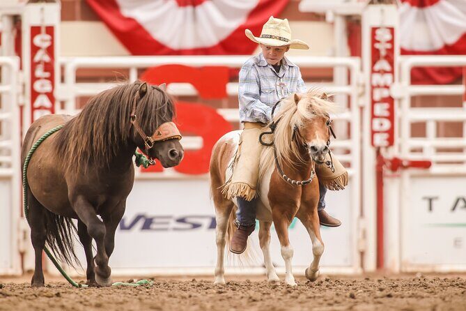 Calgary Stampede Afternoon Rodeo - FAQ