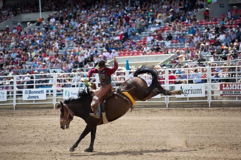 Calgary Stampede: Two Day Thrill Package - FAQ