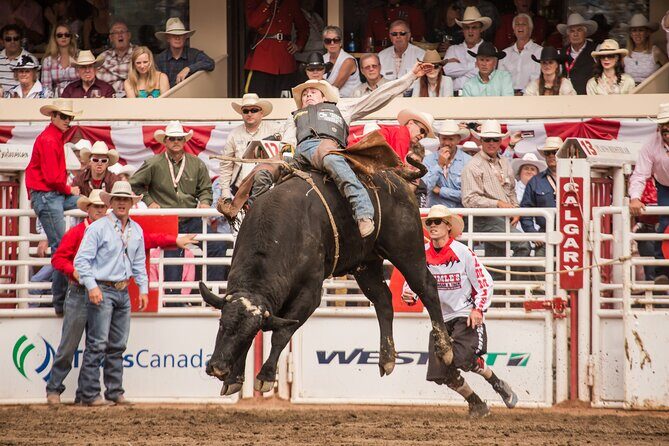 Calgary Stampede Two Day Thrill Package - A Deep Dive into the Calgary Stampede Two Day Thrill Package