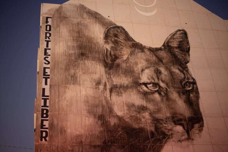 Calgary: Street Art & Craft Beer Walking Tour w/ Tastings - Exploring the Itinerary: What Makes It Special