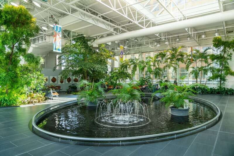 Calgary: Tips-Based City Highlights Walking Tour | 3-Hour - What Do the Reviews Say?