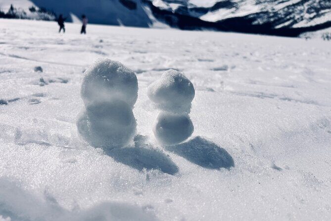 Calgary to Banff,YoHo National Park Private Day Tour - Final Thoughts: Who Is This Tour Best For?