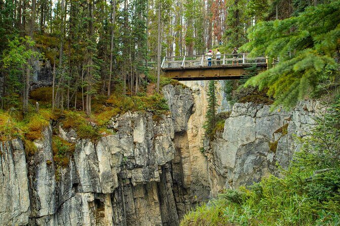 Calgary to Jasper: Ultimate Canadian Rockies Experience - Authentic Insights from Travelers