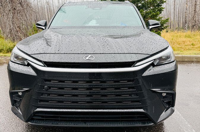 Calgary to Lethbridge, Private Luxury Lexus TX, - Authentic Experiences and Real Feedback