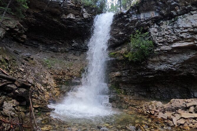 Calgary to the Rocky Mountains Private Day Tour - Final Thoughts