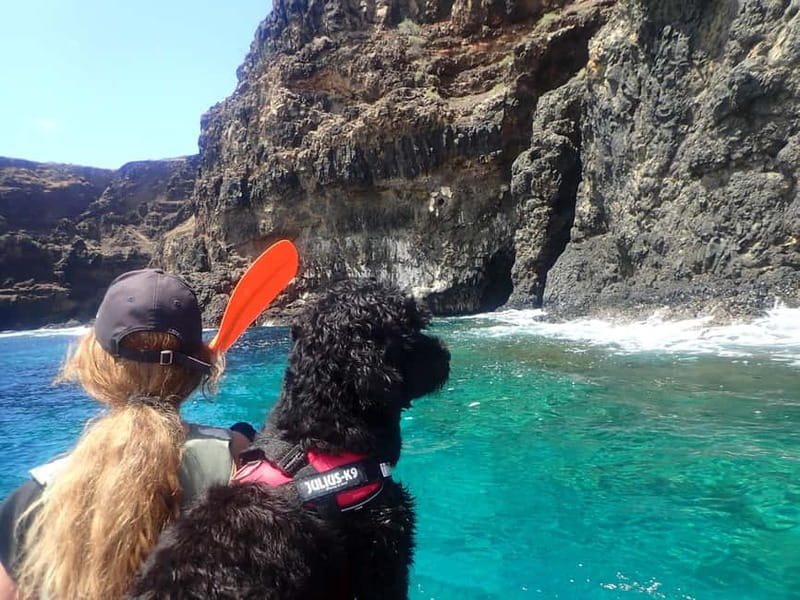 Calheta Kayak Adventure - Who Would Love This Tour?