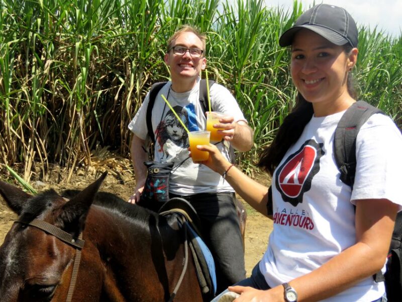 Cali: Horseback Riding - Tour Details and Duration
