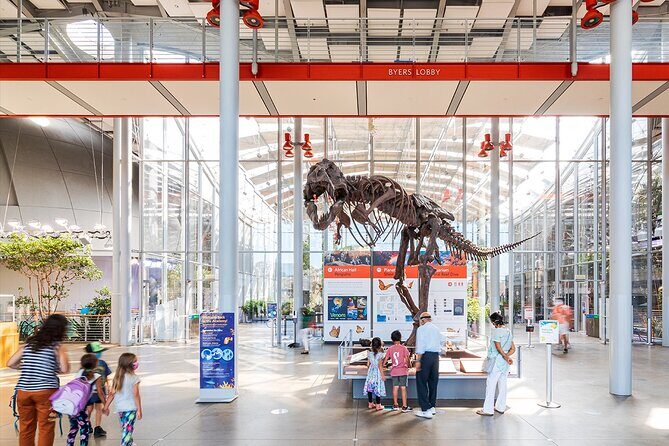 California Academy of Sciences General Admission Ticket - An In-Depth Look at What to Expect