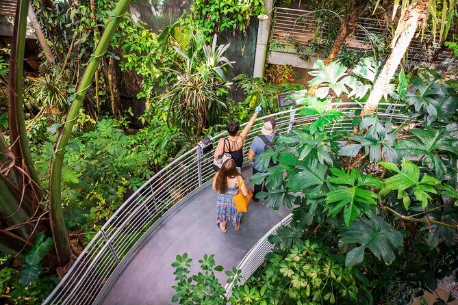 California Academy of Sciences General Admission Ticket - Who Will Love This Place?