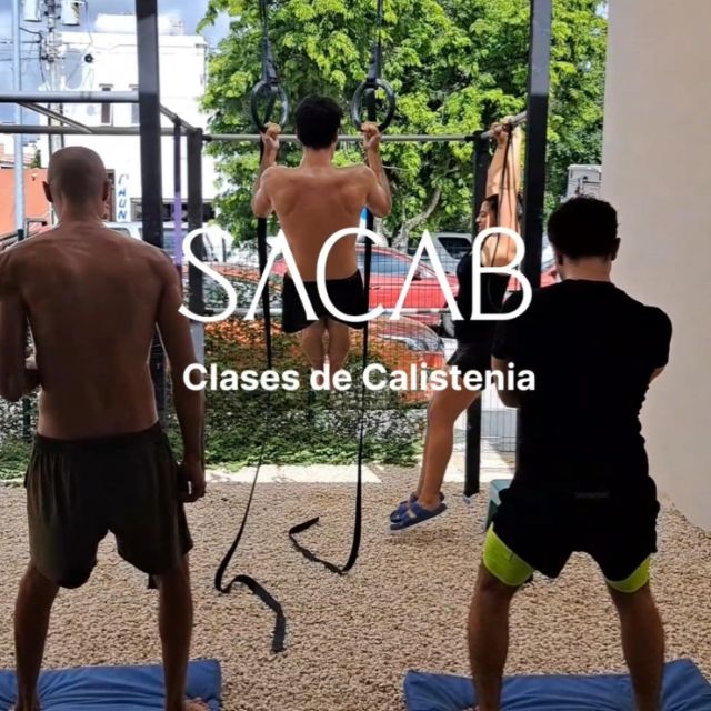Calisthenics Classes in Tulum - Yoga and Body Primal