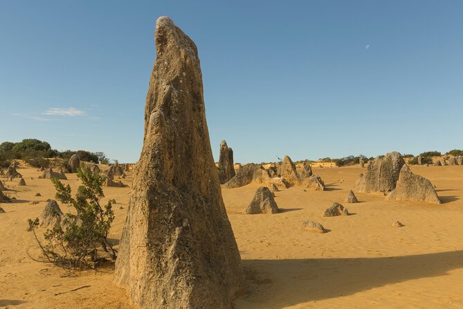 Callanish Private Walking Tour  - Scotland - Additional Information and Support