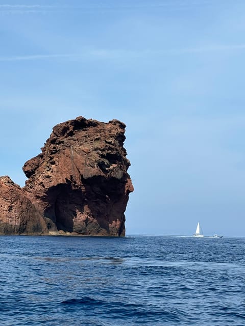 CALVI - SCANDOLA 4H: Guided Tour in a 48-Seater Comfort Shuttle - Experience Highlights