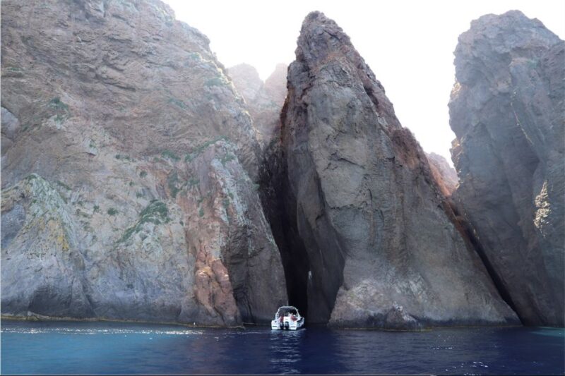 Calvi to Scandola: 4-Hour Boat Tour - Experience Highlights