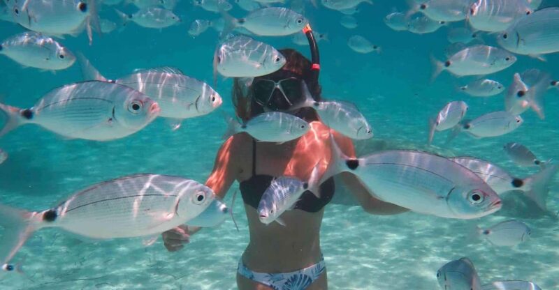 Calvi: Underwater Journey at the Edge of a Natural Reserve - Snorkeling Experience