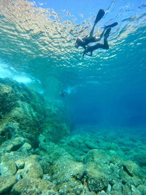 Calvi: Underwater Journey at the Edge of a Natural Reserve - Frequently Asked Questions
