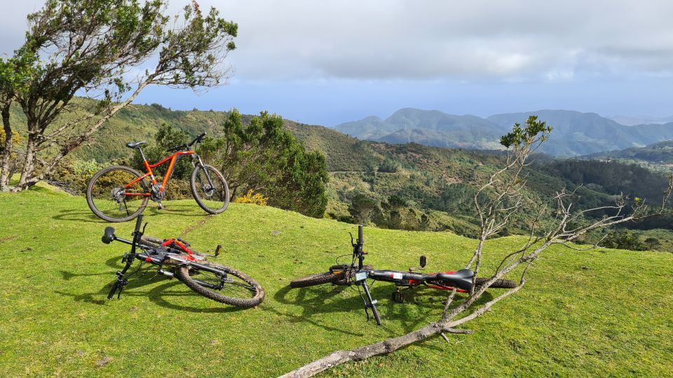 Camacha: Levada Trail E-Bike Guided Tour - Taking in Madeiras Forest