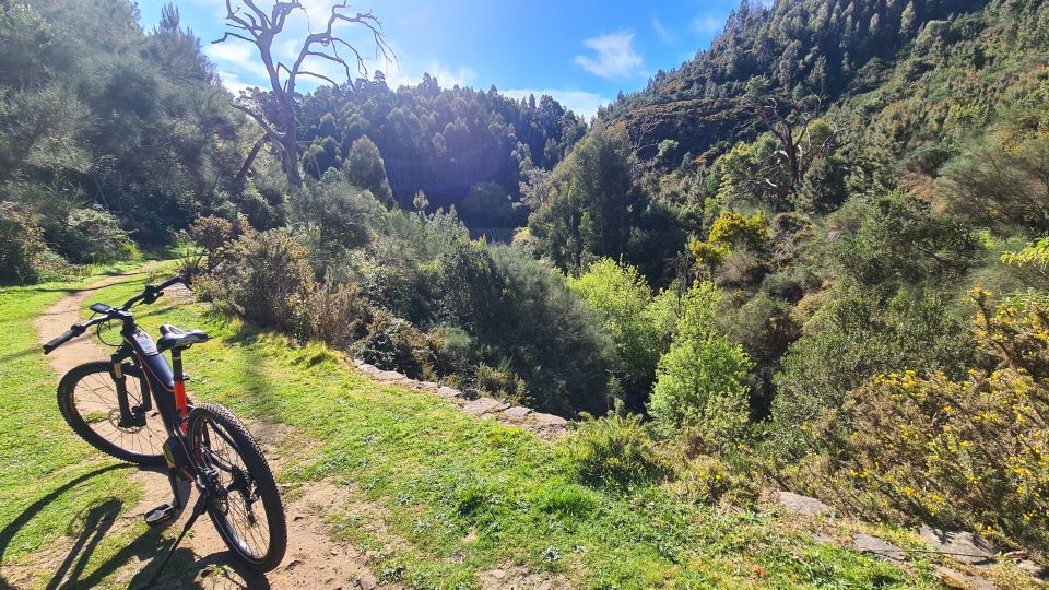 Camacha: Levada Trail E-Bike Guided Tour - Learning About Fauna, Flora, and Culture
