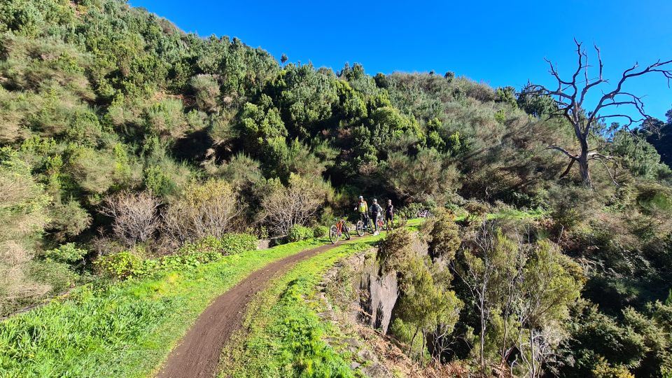 Camacha: Levada Trail E-Bike Guided Tour - Frequently Asked Questions