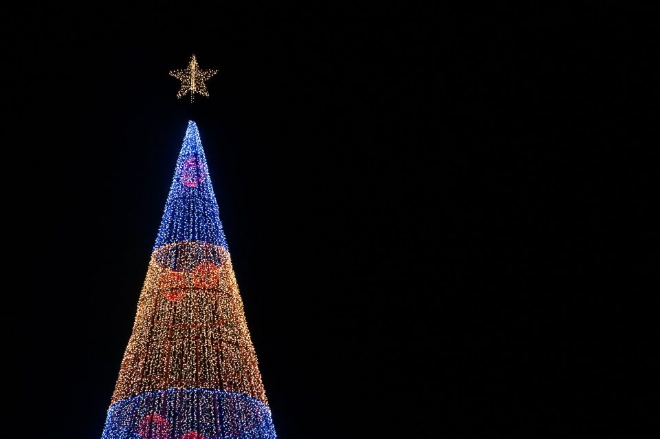 Camara De Lobos and Funchal Christmas Lights Tour - Tour Details