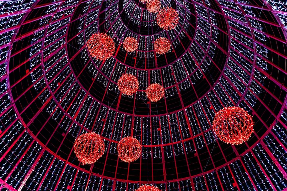 Camara De Lobos and Funchal Christmas Lights Tour - Inclusions