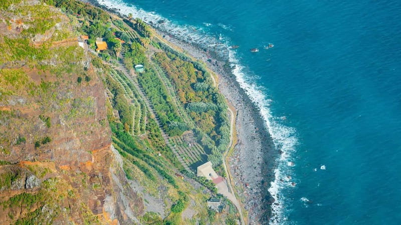Câmara de Lobos, Pico da Torre, and Porto Moniz Tour - The Northern Coast and Waterfalls