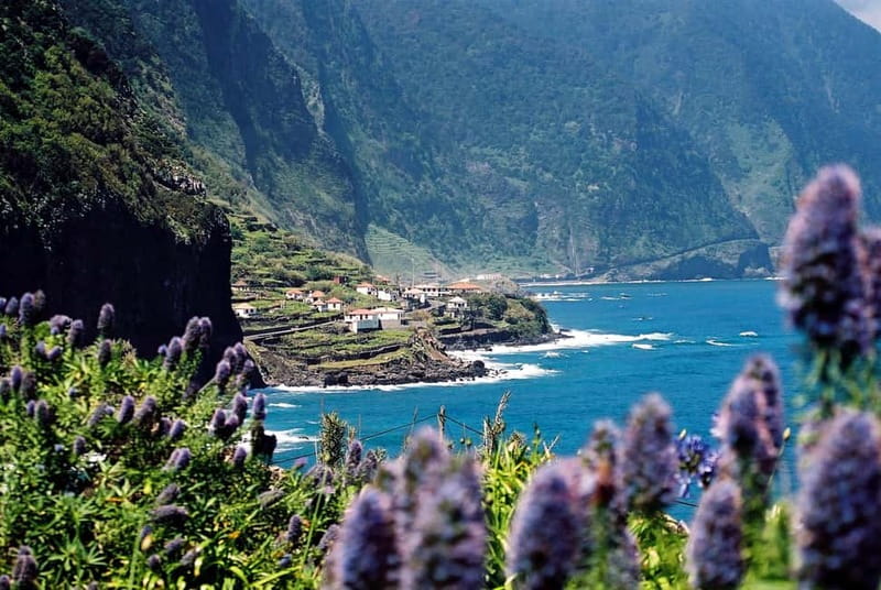 Câmara de Lobos, Pico da Torre, and Porto Moniz Tour - The High Plateaus and Sunset in Calheta