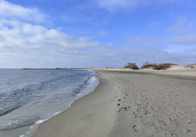 Camargue, Its Secrets and Its Magic: an Exclusive Tour - Itinerary and Highlights