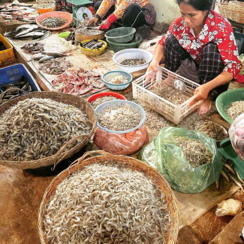 Cambodia Cooking Class, Oxcart Ride with Local Village Tour - Cooking at a Local Family Home