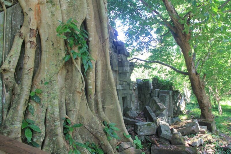 Cambodia Cooking Class, Oxcart Ride with Local Village Tour - The Oxcart Ride