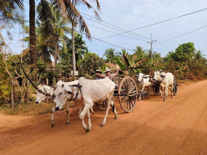 Cambodia Cooking Class, Oxcart Ride with Local Village Tour - What Does the Price Include?