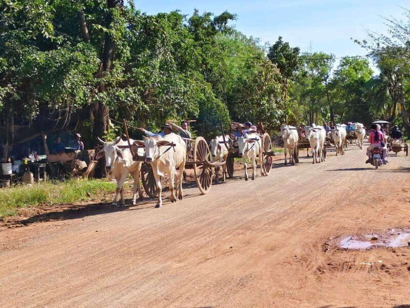 Cambodia Cooking Class, Oxcart Ride with Local Village Tour - What’s Not Included?
