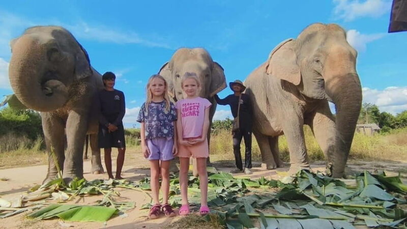 Cambodia Elephants Haft Day Experiences from Siem Reap - Key Points  