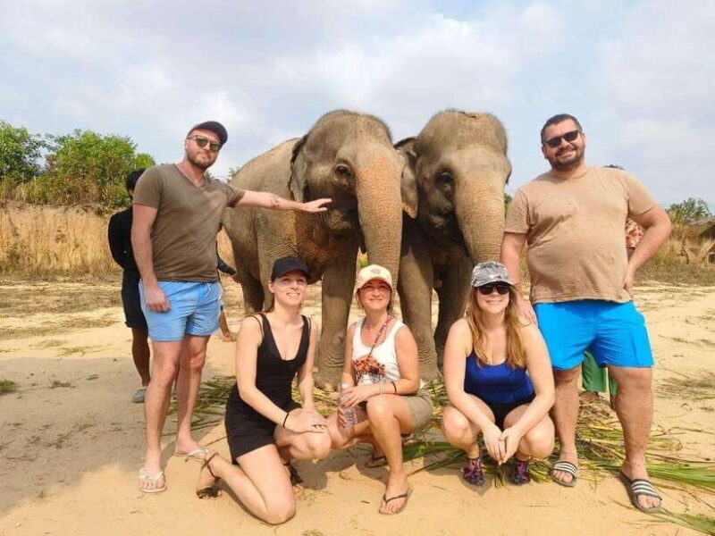 Cambodia Elephants Haft Day Experiences from Siem Reap - A Deep Dive into the Cambodia Elephants Haft Day Experiences  