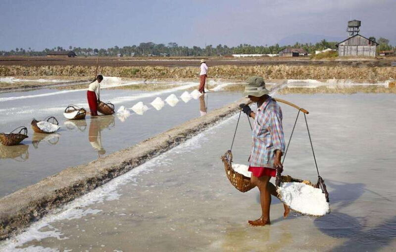 Cambodias First-Ever: Hop-On Hop-Off Bus Tour - Meals, Entrance Fees, and Additional Costs