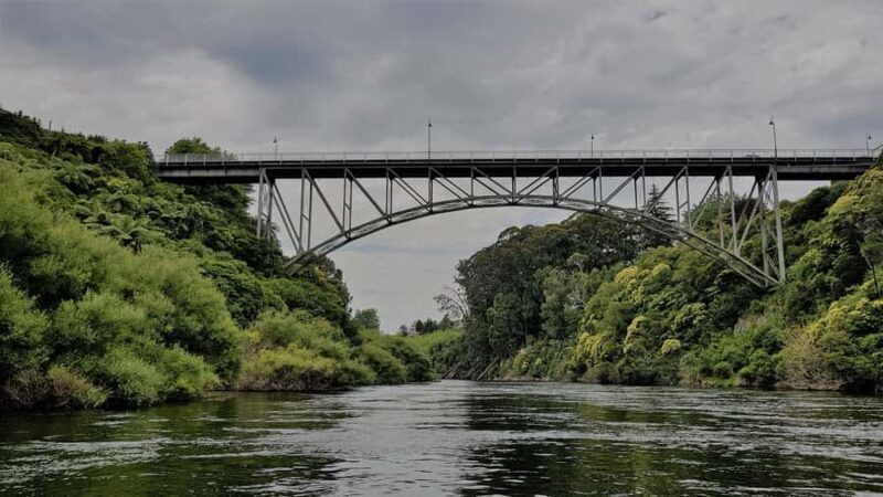 Cambridge, Matamata, Waitomo: 1-Hour Ecological River Cruise - A Deep Dive into the Ecological River Cruise Experience