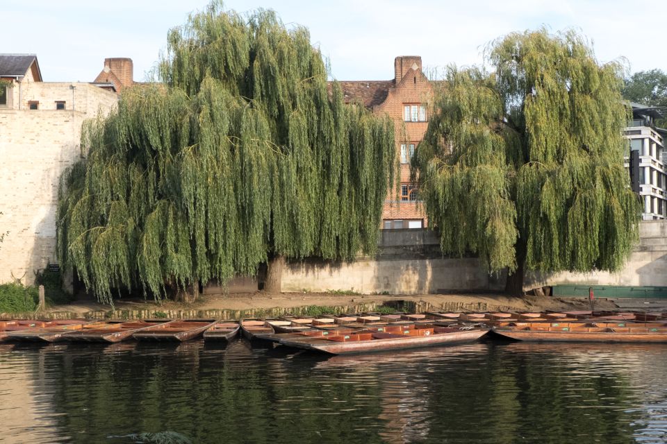 Cambridge: Punting Tour on the River Cam - Customer Reviews and Ratings