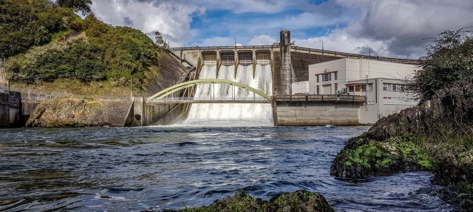 Cambridge: Waikato River 45-Minute Extreme Jet Boat Ride - Key Points