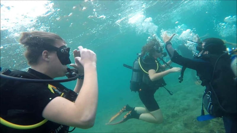 Cambrils: club Scuba Diving for beginners with hotel pickup - Key Points