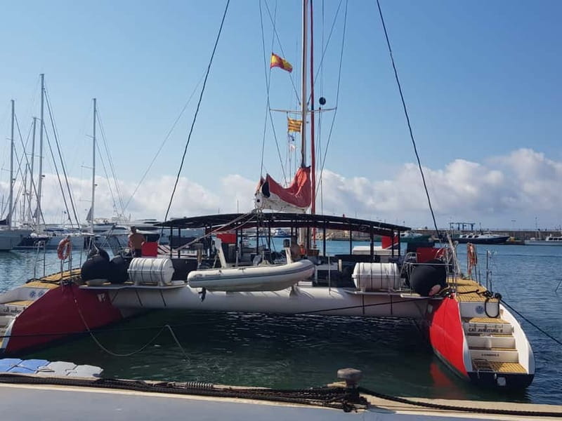 Cambrils/Salou: Coastline Catamaran 3h with drinks ,bed - The Scenic and Relaxed Atmosphere